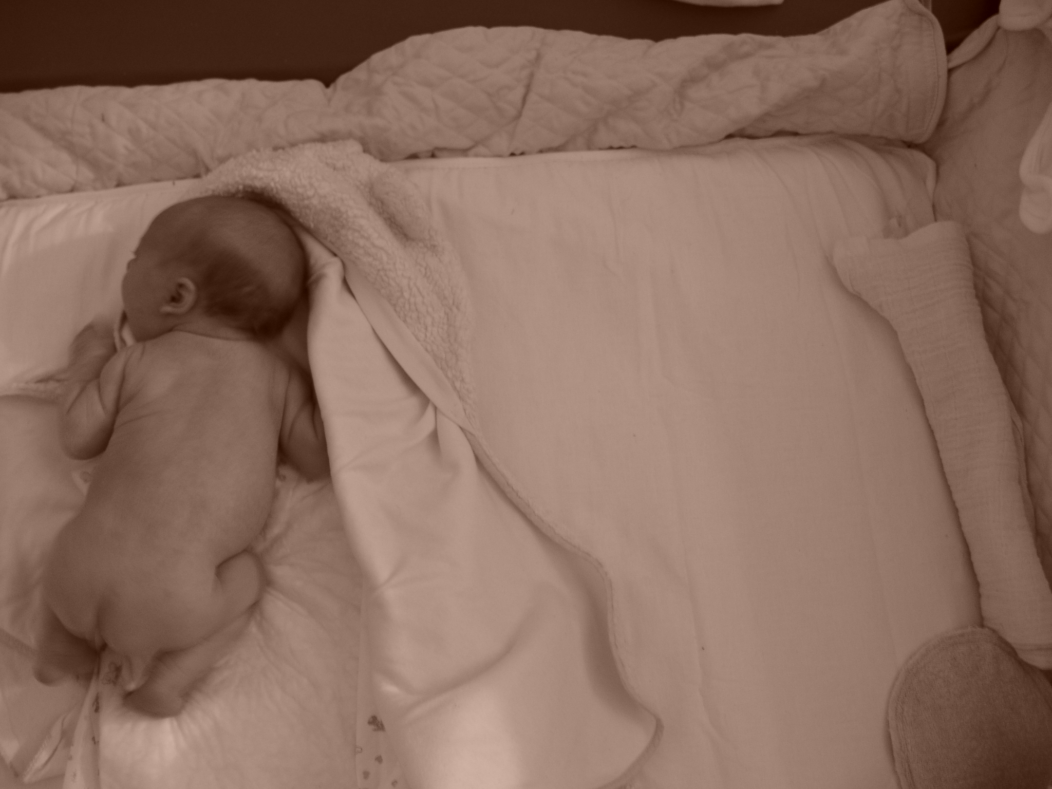 Louella nouveau-née, complètement déposée sur le lit — aucune tension, aucune résistance, le corps cède à la surface